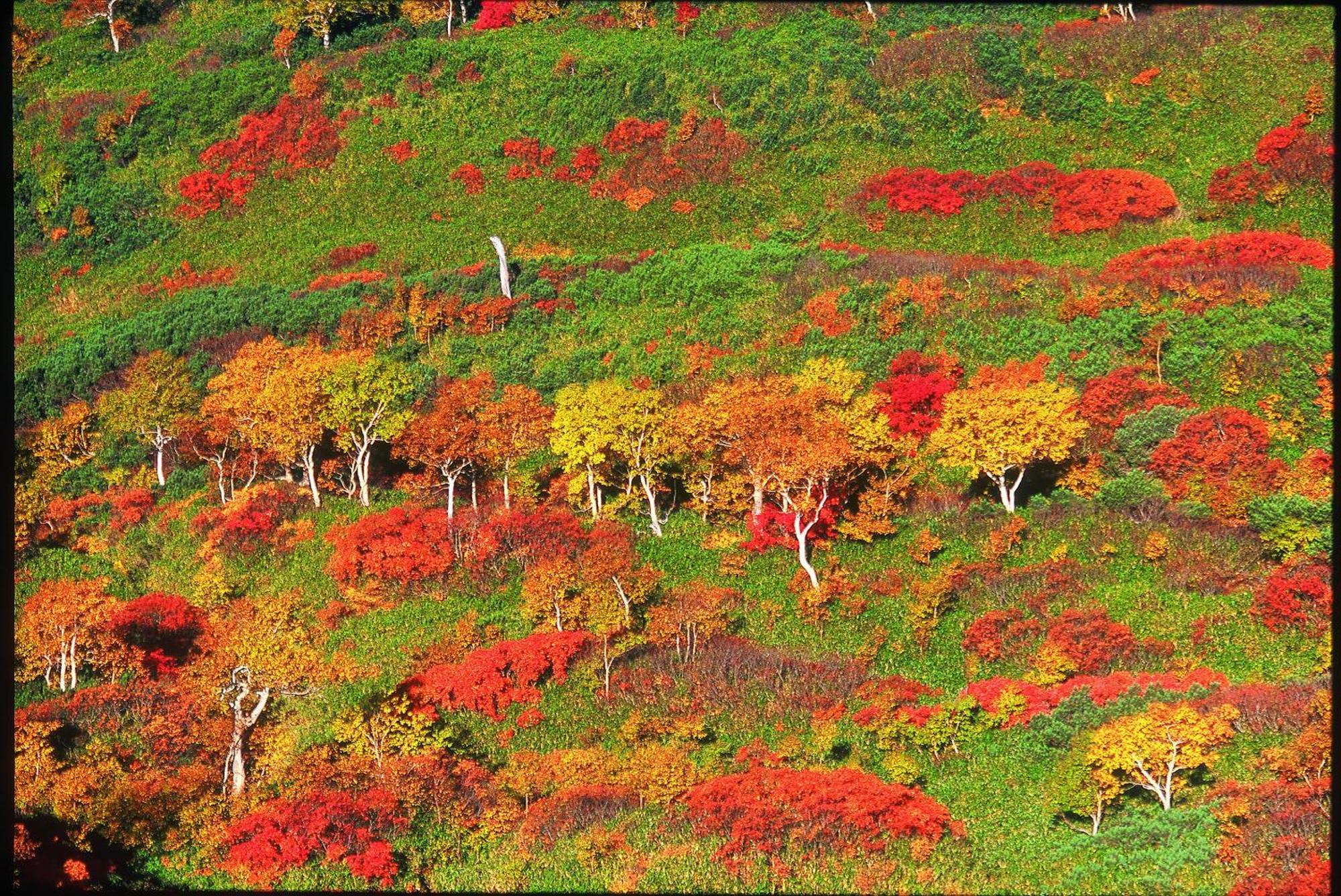 La Vista Daisetsuzan Hotel Higashikawa Luaran gambar